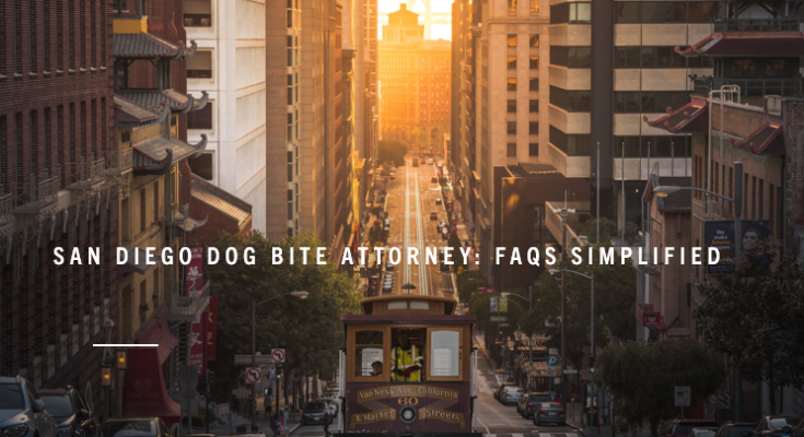 San Diego Dog Bite Attorney